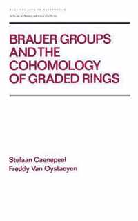 Brauer Groups and the Cohomology of Graded Rings