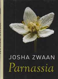 Parnassia