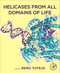 Helicases from All Domains of Life