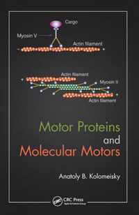 Motor Proteins and Molecular Motors