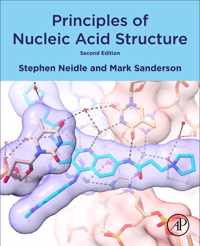 Principles of Nucleic Acid Structure