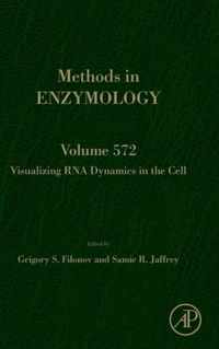 Visualizing RNA Dynamics in the Cell