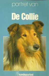 Portret van de Collie