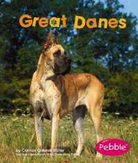 Great Danes