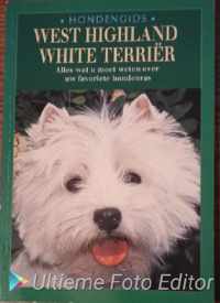 West highland white terrier