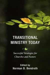 Transitional Ministry Today