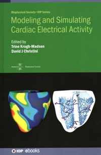 Modeling and Simulating Cardiac Electrical Activity