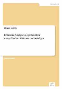 Effizienz-Analyse ausgewahlter europaischer Guterverkehrstrager