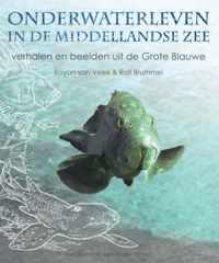 Onderwaterleven In De Middellandse Zee