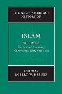 The New Cambridge History of Islam