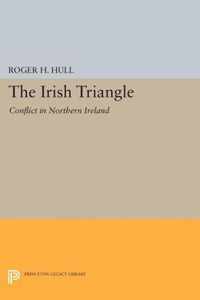 The Irish Triangle - Conflict in Northern Ireland