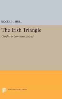 The Irish Triangle - Conflict in Northern Ireland