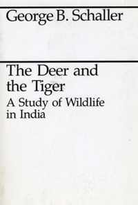 The Deer & the Tiger