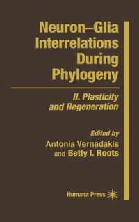 Neuron-Glia Interrelations During Phylogeny