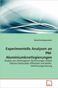 Experimentelle Analysen an PM-Aluminiumknetlegierungen