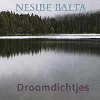 Droomdichtjes - Nesibe Balta - Paperback (9789464186536)