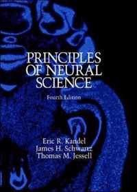 Principles of Neural Science, Fourth Edition