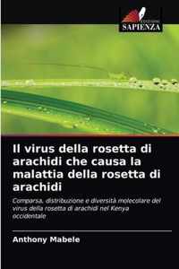 Il virus della rosetta di arachidi che causa la malattia della rosetta di arachidi