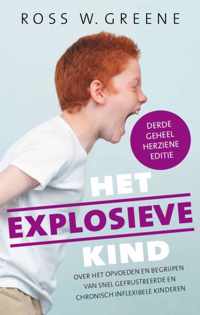 Het explosieve kind