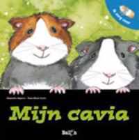 Ik Zorg Voor Mijn Cavia