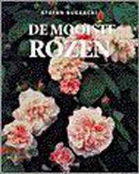 Mooiste rozen, de