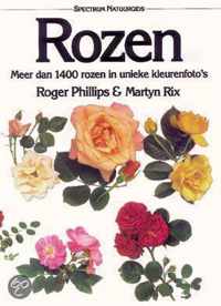 Rozen