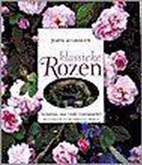 Klassieke rozen