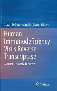 Human Immunodeficiency Virus Reverse Transcriptase