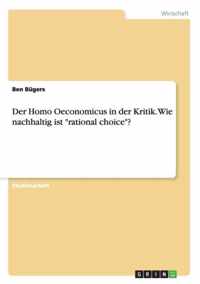 Der Homo Oeconomicus in der Kritik. Wie nachhaltig ist rational choice?