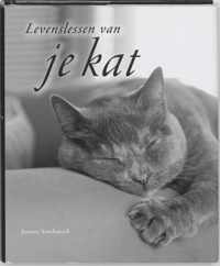 Levenslessen Van Je Kat