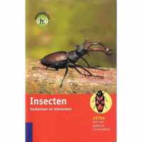 Insecten