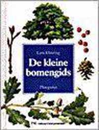 De kleine bomengids