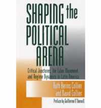 Shaping the Political Arena