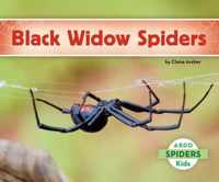 Black Widow Spiders