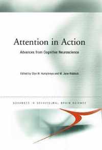 Attention in Action