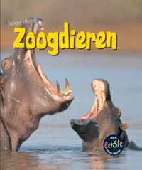 Jonge dieren  -   Zoogdieren