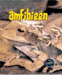 Jonge dieren  -   Amfibieen