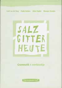 Salzgitter Heute / 1 Werkboek / Deel Grammatik