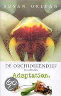 Orchideeendief