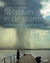 Stilstaan in de storm