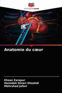 Anatomie du coeur