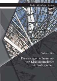 Die strategische Steuerung von Kleinunternehmen mit Profit Centern