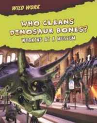 Who Cleans Dinosaur Bones?