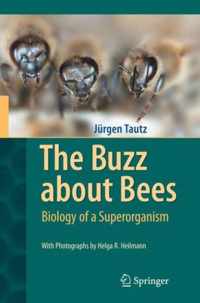 Buzz About Bees Biology Of Superorganism