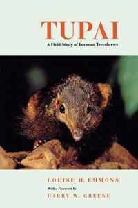 Tupai - A Field Study of Bornean Treeshews