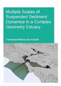 Multiple Scales of Suspended Sediment Dynamics in a Complex Geometry Estuary