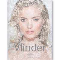 Vlinder