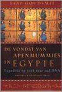 Vondst Van Apenmummies In Egypte