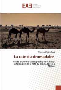 La rate du dromadaire