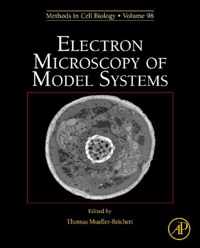 Electron Microscopy of Model Systems